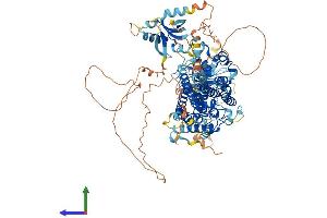 Protein Structure (PS) image for Ras Interacting Protein 1 (RASIP1) (AA 1-961) protein (His tag) (ABIN7563692)