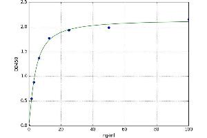 A typical standard curve (Anti-Cyclic Citrullinated Peptide Antibody ELISA 试剂盒)