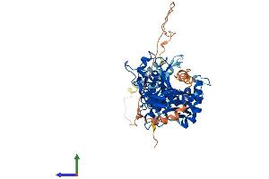 Protein Structure (PS) image for Arginyltransferase 1 (ATE1) (AA 1-516) protein (His tag) (ABIN7556414)