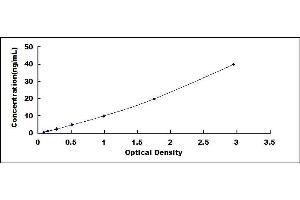 Typical standard curve (Lipoprotein Lipase ELISA 试剂盒)