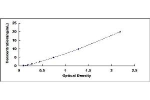 Typical standard curve (Sclerostin ELISA 试剂盒)