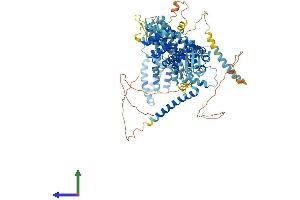 AlphaFold protein structure predicition of Mouse Recombinant Eif3c Protein, UniprotID Q8R1B4