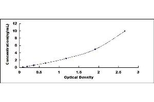 Typical standard curve (BAG3 ELISA 试剂盒)