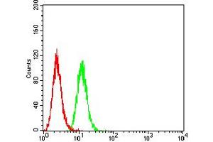 Flow cytometric analysis of Hela cells using BCL2L2 mouse mAb (green) and negative control (red). (BCL2L2 抗体  (AA 6-118))