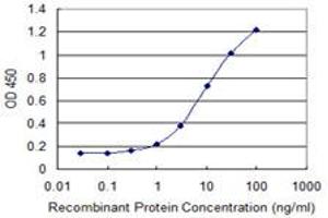 Detection limit for recombinant GST tagged FIP1L1 is 0. (FIP1L1 抗体  (AA 1-378))