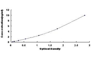 Typical standard curve (PTF1A ELISA 试剂盒)