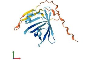 AlphaFold protein structure predicition of Human Recombinant LCNL1 Protein, UniprotID Q6ZST4