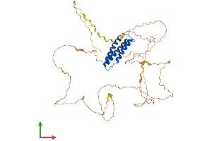 AlphaFold protein structure predicition of Mouse Recombinant Bag4 Protein, UniprotID Q8CI61