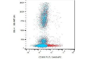 Surface staining of human peripheral blood cells using anti-CD161 (HP-3G10) purified, GAM-APC. (CD161 抗体)