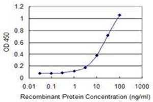 Detection limit for recombinant GST tagged IP6K2 is 0. (IP6K2 抗体  (AA 1-70))