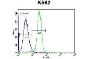 Flow Cytometry (FACS) image for anti-StAR-Related Lipid Transfer (START) Domain Containing 6 (STARD6) (AA 194-220), (C-Term) antibody (ABIN954974)