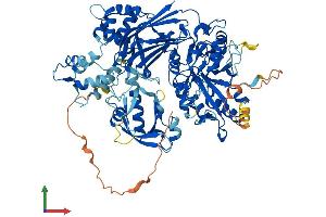 Protein Structure (PS) image for Phospholipase C delta 3 (PLCd3) (AA 1-785) protein (His tag) (ABIN7564635)