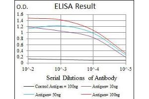 Black line: Control Antigen (100 ng), Purple line: Antigen(10 ng), Blue line: Antigen (50 ng), Red line: Antigen (100 ng), (Fibronectin 1 抗体)
