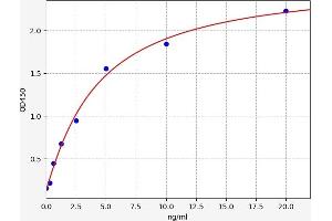 Typical standard curve (beta Actin ELISA 试剂盒)
