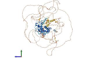Protein Structure (PS) image for AT Rich Interactive Domain 5B (MRF1-Like) (ARID5B) (AA 1-1188) protein (His tag) (ABIN7552243)