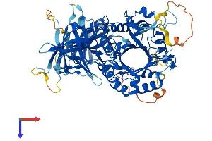 AlphaFold protein structure predicition of Human Recombinant GPCPD1 Protein, UniprotID Q9NPB8