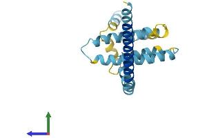AlphaFold protein structure predicition of Mouse Recombinant Reep5 Protein, UniprotID Q60870