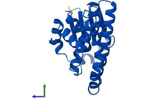 Protein Structure (PS) image for Glutathione S-Transferase, pi 2 (GSTP2) (AA 1-210) protein (His tag) (ABIN7563275)