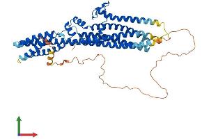 Protein Structure (PS) image for Tweety Homolog 3 (TTYH3) (AA 1-523) protein (His tag) (ABIN7544765)