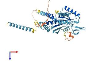 AlphaFold protein structure predicition of Human Recombinant SEPTIN5 Protein, UniprotID Q99719