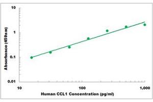 Representative Standard Curve (CCL1 ELISA 试剂盒)