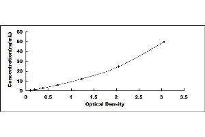 Typical standard curve (Dermcidin ELISA 试剂盒)