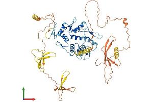 Protein Structure (PS) image for Zinc Finger Protein 76 (Expressed in Testis) (ZNF76) (AA 1-570) protein (His tag) (ABIN7545600)