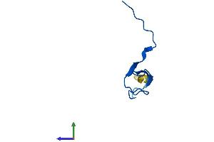 Protein Structure (PS) image for Polymerase (RNA) II (DNA Directed) Polypeptide K, 7.0kDa (POLR2K) (AA 1-58) protein (Fc Tag) (ABIN7551479)