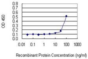 Detection limit for recombinant GST tagged ZNF253 is 3 ng/ml as a capture antibody. (ZNF253 抗体  (AA 91-180))