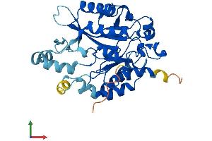 AlphaFold protein structure predicition of Mouse Recombinant Plcxd3 Protein, UniprotID Q8BLJ3