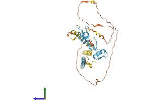 Protein Structure (PS) image for Zinc Finger Protein 367 (ZNF367) (AA 1-350) protein (His tag) (ABIN7545267)
