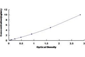 Typical standard curve (OAZ1 ELISA 试剂盒)