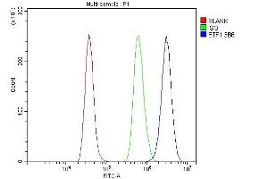 Flow Cytometry analysis of RH35 cells using anti- eRF1/ETF1 antibody (ABIN7602625).
