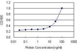 Sandwich ELISA detection sensitivity ranging from 3 ng/mL to 100 ng/mL. (C4BPB (人) Matched Antibody Pair)