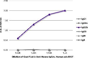 ELISA plate was coated with purified mouse IgG1, IgG2a, IgG2b, IgG3, IgM, and IgA. (山羊 anti-小鼠 IgG2b Antibody (Biotin) - Preadsorbed)
