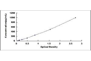 Typical standard curve (ATM ELISA 试剂盒)