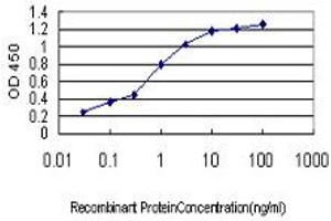 Detection limit for recombinant GST tagged MAP4K4 is approximately 0. (MAP4K4 抗体  (AA 611-710))