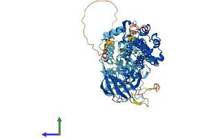 Protein Structure (PS) image for Ribosomal Protein S6 Kinase, 90kDa, Polypeptide 3 (RPS6KA3) (AA 1-740) protein (His tag) (ABIN7554394)