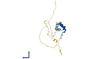 Protein Structure (PS) image for TGFB-Induced Factor Homeobox 2-Like, Y-Linked (TGIF2LY) (AA 1-185) protein (His tag) (ABIN7544309)