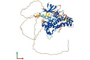 AlphaFold protein structure predicition of Human Recombinant HIPK4 Protein, UniprotID Q8NE63