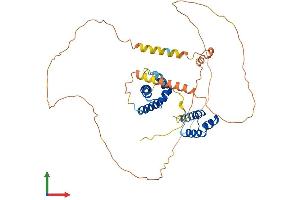 Protein Structure (PS) image for POU Domain, Class 4, Transcription Factor 1 (POU4F1) (AA 1-421) protein (His tag) (ABIN7562911)