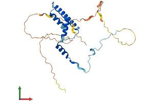 Protein Structure (PS) image for TAF9B RNA Polymerase II, TATA Box Binding Protein (TBP)-Associated Factor, 31kDa (TAF9B) (AA 1-251) protein (His tag) (ABIN7544228)