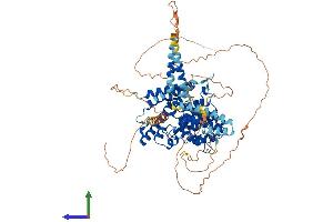 Protein Structure (PS) image for phosphodiesterase 4C, CAMP-Specific (PDE4C) (AA 1-712) protein (His tag) (ABIN7550651)