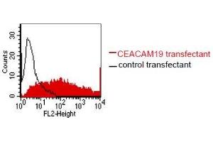 FACS analysis of BOSC23 cells using HY-8H10.