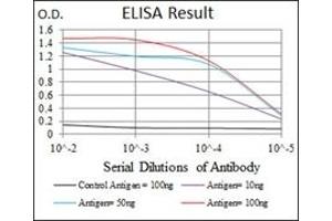 ELISA image for anti-Low Density Lipoprotein Receptor-Related Protein 5 (LRP5) antibody (ABIN1108063) (LRP5 抗体)