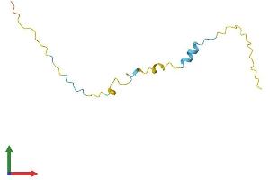 Protein Structure (PS) image for Protein Kinase (CAMP-Dependent, Catalytic) Inhibitor beta (PKIB) (AA 1-92) protein (Fc Tag) (ABIN7556886)