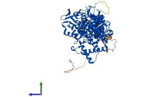 AlphaFold protein structure predicition of Human Recombinant KDM1B Protein, UniprotID Q8NB78