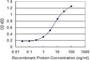 Detection limit for recombinant GST tagged PCDHA7 is 0. (PCDHA7 抗体  (AA 143-241))