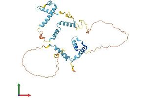 Protein Structure (PS) image for Small Nuclear RNA Activating Complex, Polypeptide 2, 45kDa (SNAPC2) (AA 1-334) protein (His tag) (ABIN7546067)