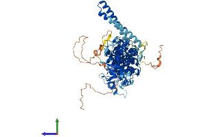Protein Structure (PS) image for Rhophilin, rho GTPase Binding Protein 2 (RHPN2) (AA 1-686) protein (His tag) (ABIN7558971)